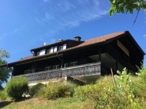 Гостиница Landhausvilla Strittberg 7  Хёхеншванд